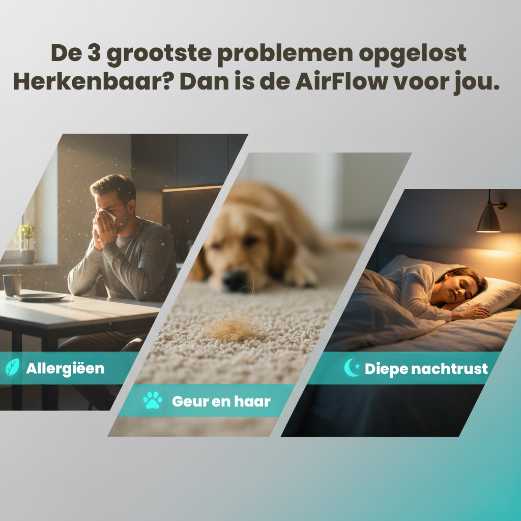 AirFlow XL Luchtreiniger